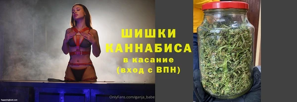 бошки Козельск